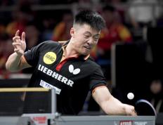 IM体育官方平台-德国队力克中国队，梁靖崑高光表现的简单介绍