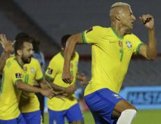 IM体育官方平台-巴西绝杀阿根廷，萨内惊艳四座的简单介绍