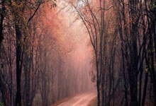 IM体育官网-泰达客场惨败国安，积分榜倒数第五