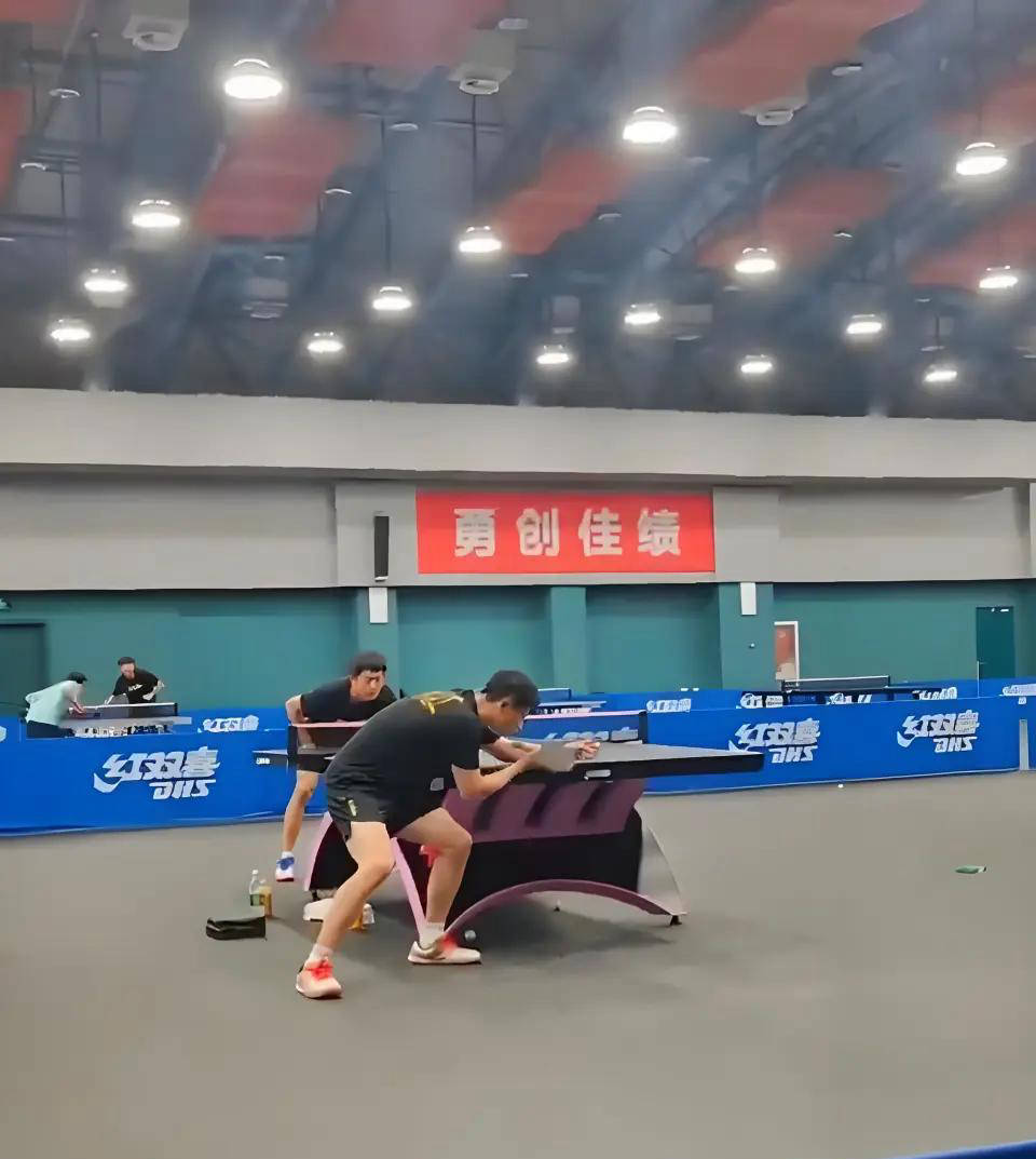 IM体育官方平台-瑞典乒乓球队力克波兰乒乓球队，马龙关键制胜的简单介绍