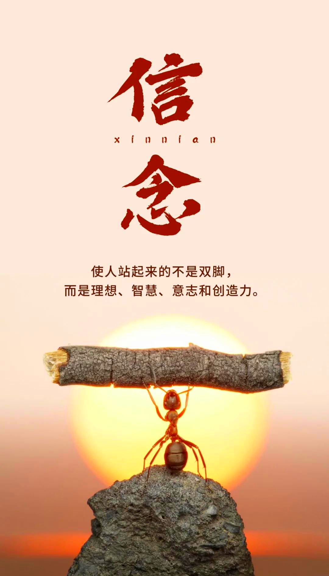 IM体育官方网站-勇往直前，无畏前行的体育精神