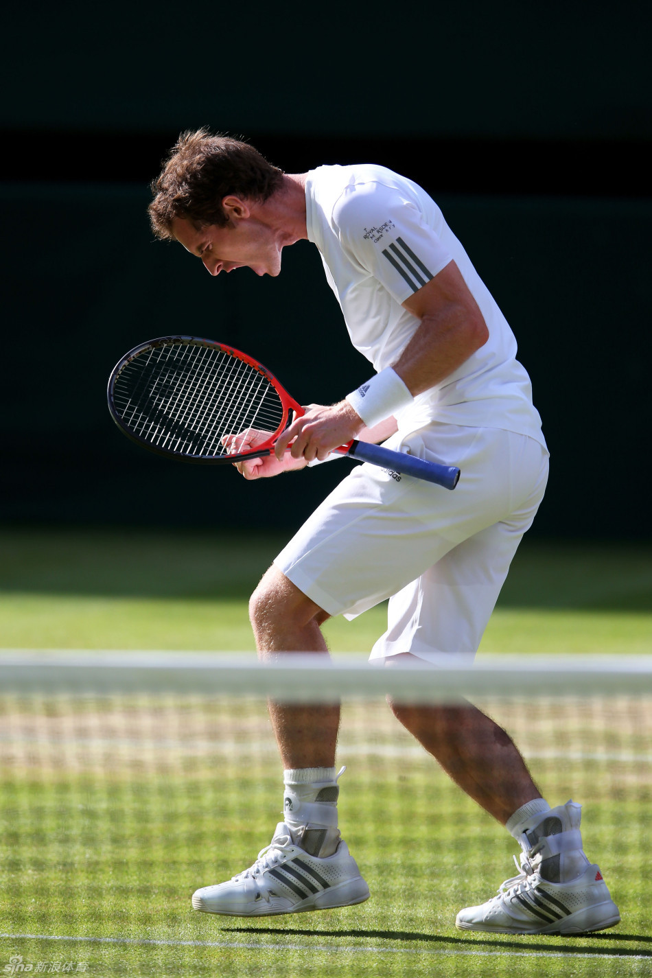 IM体育官网入口-世界网球队逆转意大利网球队,穆雷高光表现的简单介绍