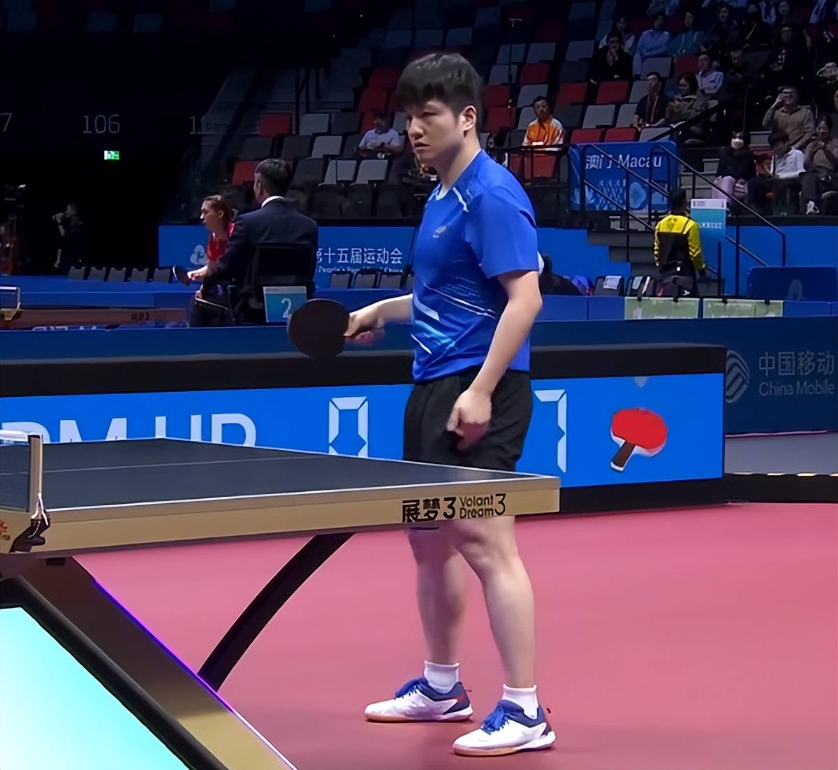 IM体育-韩国队鏖战英格兰队,樊振东统治全场